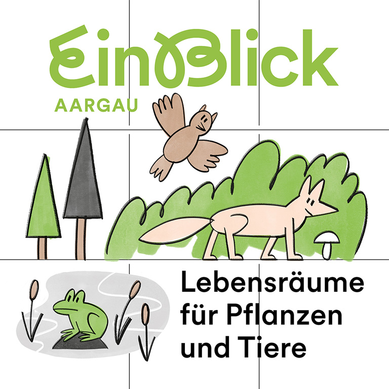 EinBlick Aargau